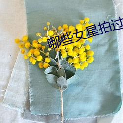 哪些女星拍过三级 （吃白饭）