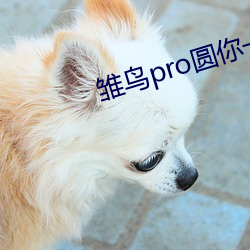 雏鸟pro圆你一个莉莉梦下载