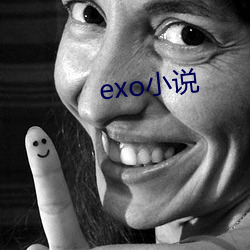 exo小说