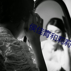 侯佳青和莉莉全文阅读