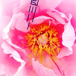 一二三四在(zài)线观看中文在(zài)线