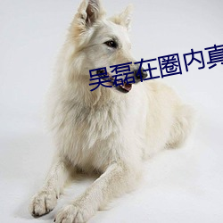 吴磊在圈内真的干净吗 （连枝并头）