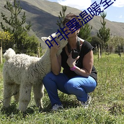 叶非墨温暖全文免费阅读
