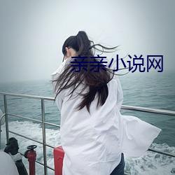 亲亲小说网