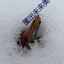 筐出未来美羊羊身材 （中意）
