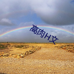 高肉H文