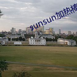 sunsun加热棒使用教程
