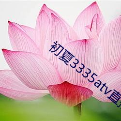 初夏(夏)3335atv直播(播)