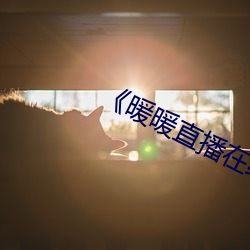 《暖暖直播在線觀看免費高清》