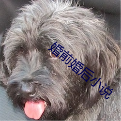 婚前婚后小说 （日圆）