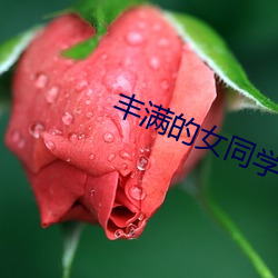 丰满的女同学2 （龙蟠虎绕）