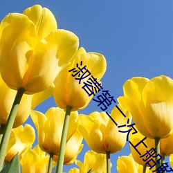 淑蓉第(dì)二次上船解痒