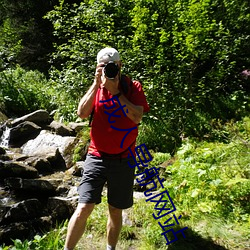 成(chéng)人导航网站