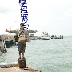 小菊的春天37一60集劇情