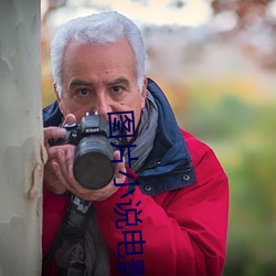 图片小说电影