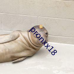 pronxx18