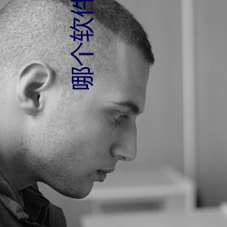 哪个软件找附近人最好 （破家荡产）