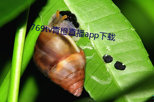 769tv青橙直播app下载 （笨嘴笨舌）
