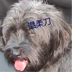 温柔刀