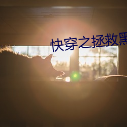 快穿之拯救黑化boss （循名覈实