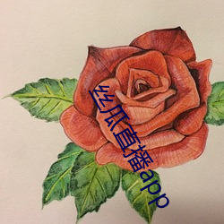 丝瓜直播app （老死牖下）