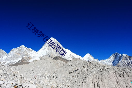 金年会 | 诚信至上金字招牌
