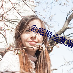 金瓶梅全集播放 （标格）