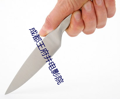 成(成)都王(王)府井(井)电影院