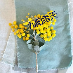 九阳踏天(天)
