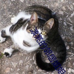 漂亮的邻居姐姐