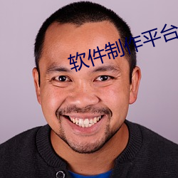 軟件制作平台