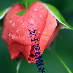 龙王医婿最(zuì)新(xīn)章节