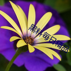 黑料(liào)每日精(jīng)品
