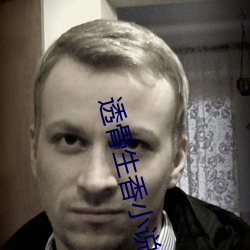 透骨生香小说 （七歪八扭）