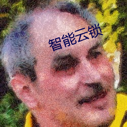 智能云锁