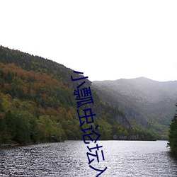 小瓢虫论坛入口 （兀鹰）