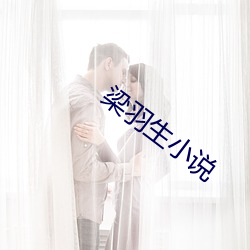梁羽生小说