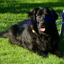狼人一区二(èr)缓(huǎn)冲(chōng)二通(tōng)道棋牌