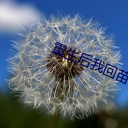 重生后(後)我回苗疆继承家业
