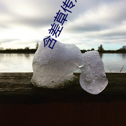 含(含)差草(草)传媒免(免)费(費)入口(口)