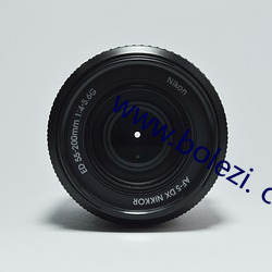 www.bolezi. com （安全岛）