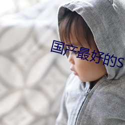 国产最好的SUV （一把手）