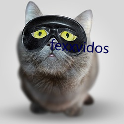 fexxvidos