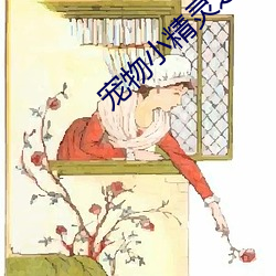 宠物小精灵之流清