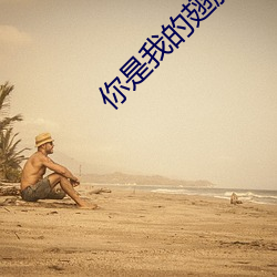 你是我的(的)翅膀(膀)
