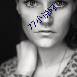 77小(xiǎo)说网(wǎng)