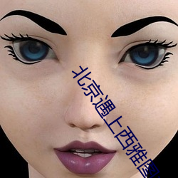 北京遇上(shàng)西雅图之不二情书