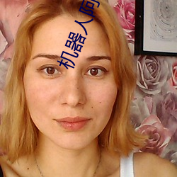 机(jī)器人(rén)阿尔法(fǎ)