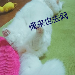 俺(ǎn)来也去网(wǎng)