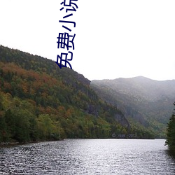 免(miǎn)费小说阅读